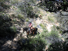 USA-Arizona-Geronimo Trail to the Grand Canyon